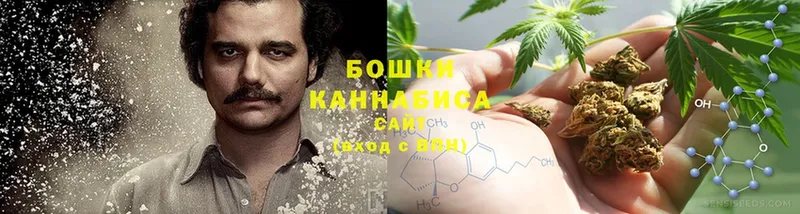 Шишки марихуана THC 21%  Нелидово 